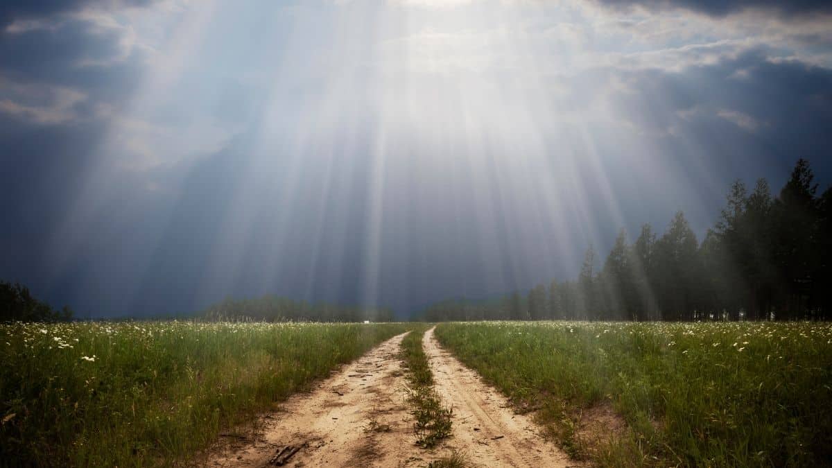 What Does it Mean to Fear the Lord? - Bible Verses for You